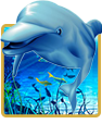dolphin reef free slot - demo and review