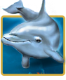 Dolphins Pearl Slot Machine Game