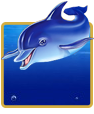 Blue Dolphin Slot Machine For Money