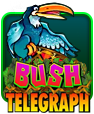 Bush Telegraph Slot - IGT - GamesMoney
