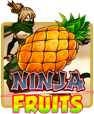ninja fruits slot machine online