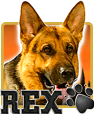 Play Rex Slot For Real Money