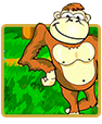 crazy monkey slots review